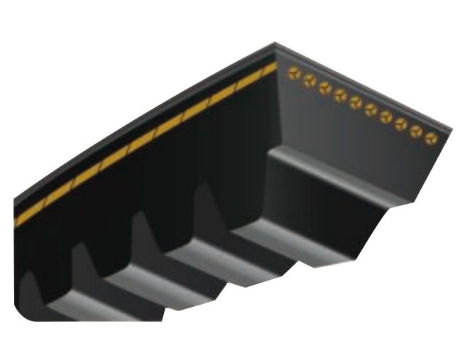 Raw Edge Cogged V belt