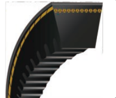 Raw Edge Cogged V belt
